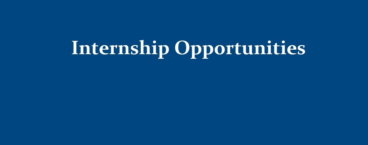 Internship Image
