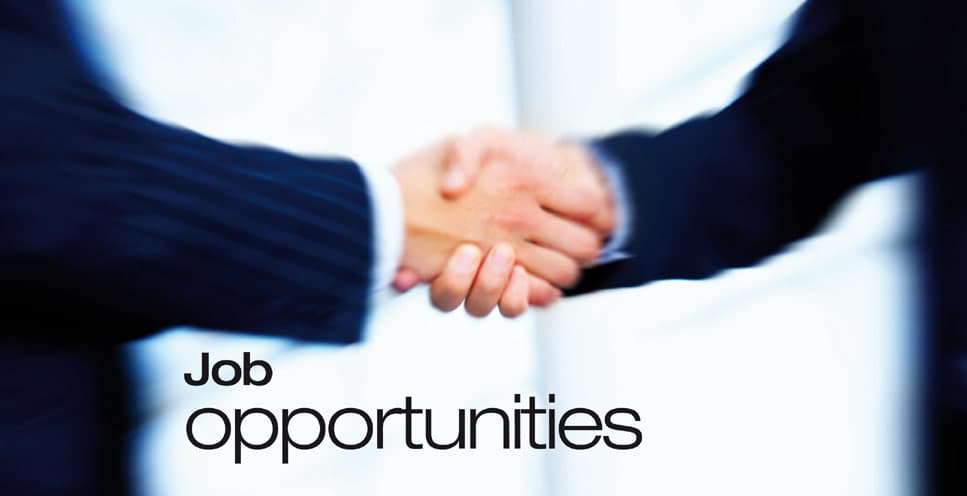 Internship Image